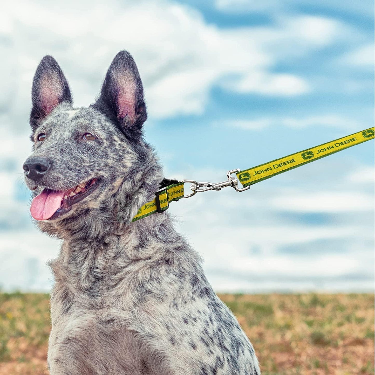 John Deere Dog Collar