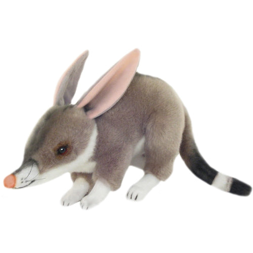 Bocchetta Toys - Benny the Bilby Size 27cm