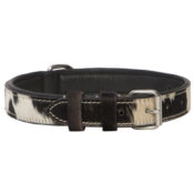 The Design Edge Dog Collar (DC01)