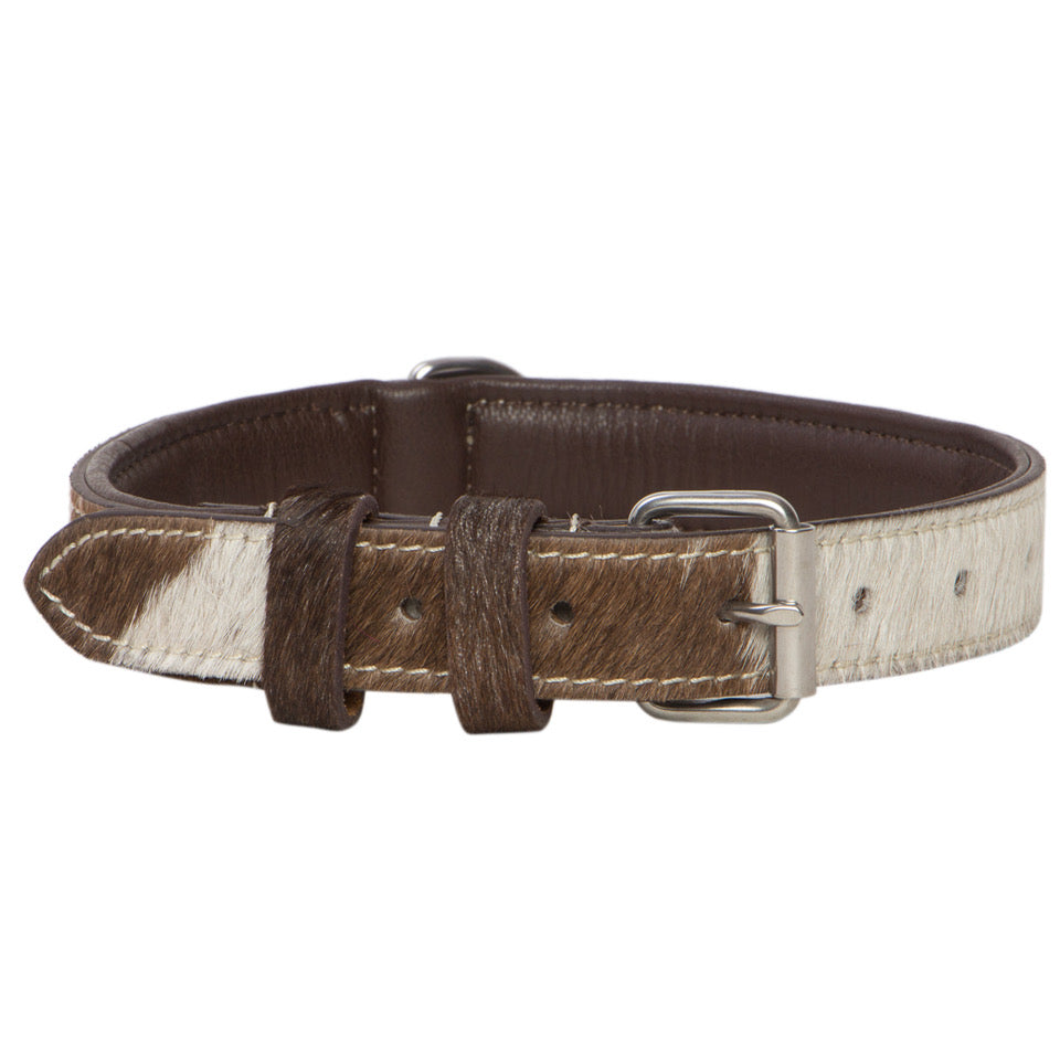 The Design Edge Dog Collar (DC01)