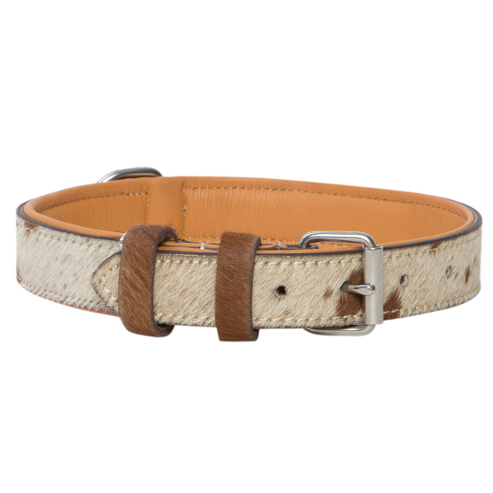 The Design Edge Dog Collar (DC01)