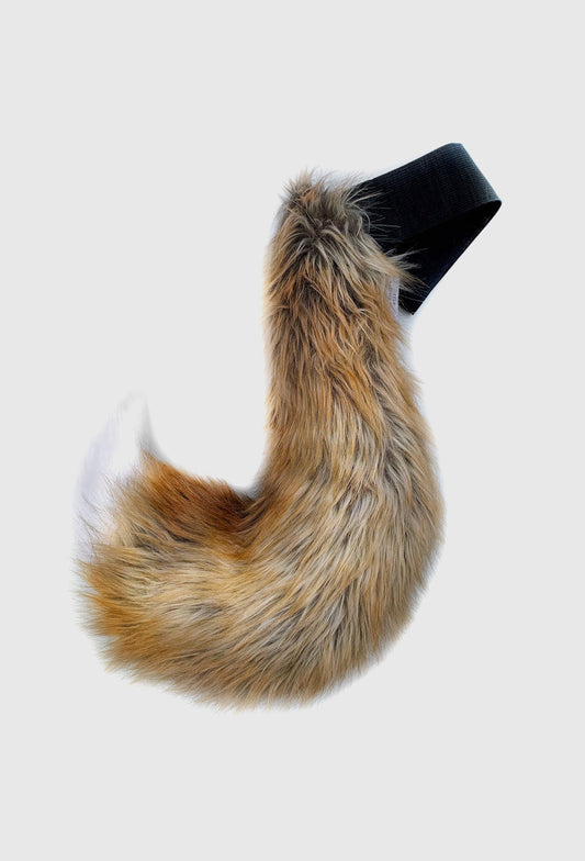 FOX TAIL