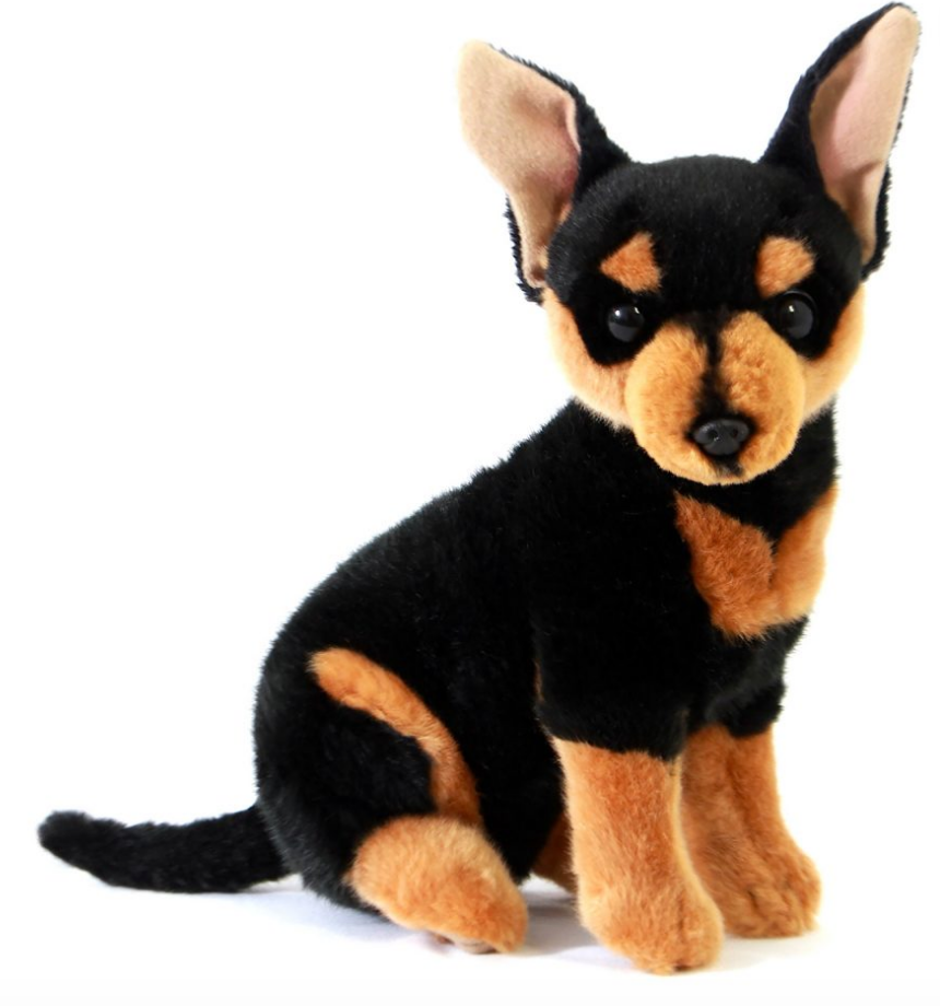 Bocchetta Toys - Taco the Chihuahua Size 25cm