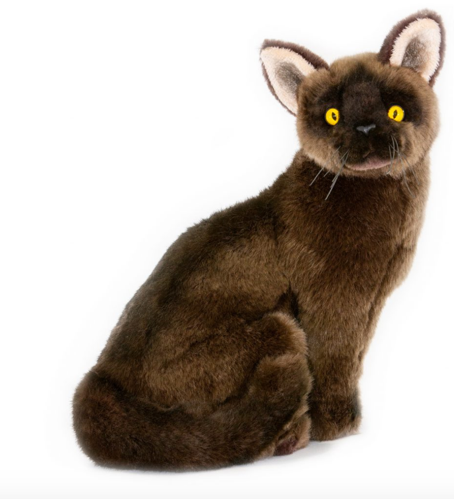 Bocchetta Toys - Nutmeg the Burmese Cat (dark brown) Size 24cm