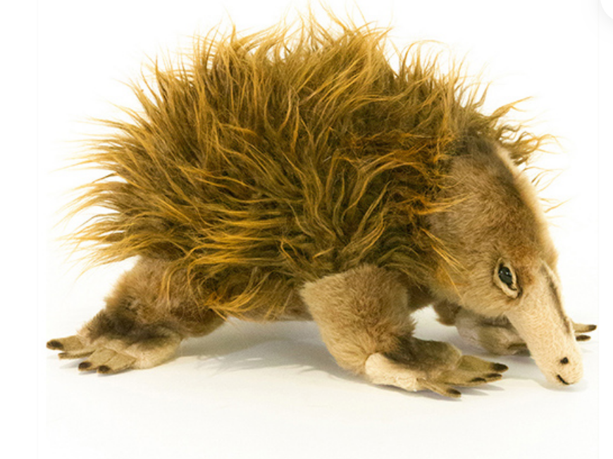 Bocchetta Toys - Harry the Echidna Size 24cm