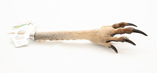 Kangaroo Paw Bottle Opener