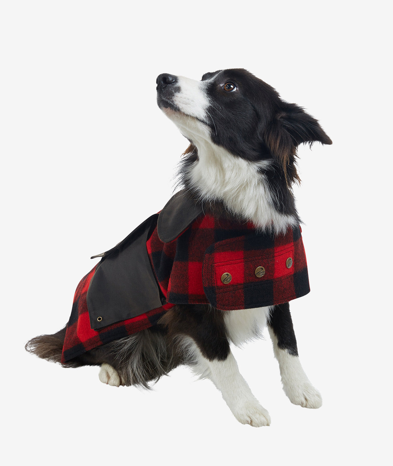 Swanndri Classic Dog Coat