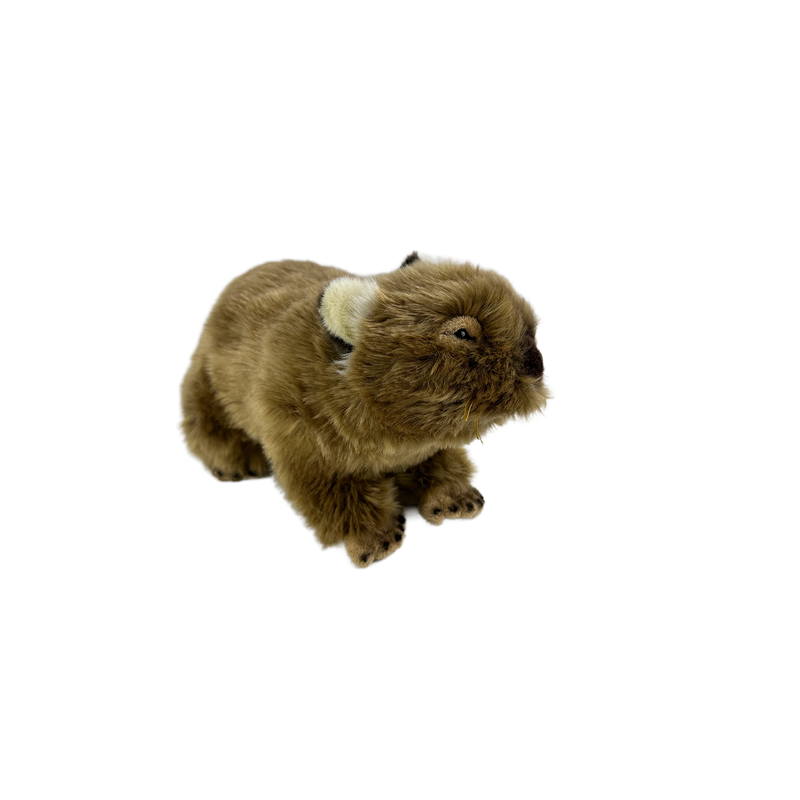 Bocchetta Toys - Tina (Wombat - 28cm)