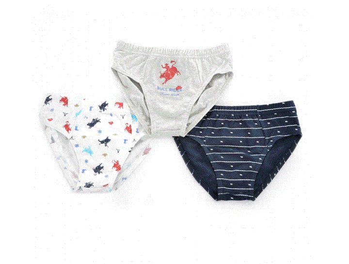 THOMAS COOK BOYS UNDIES (3 PACK)