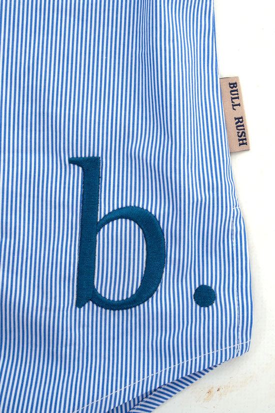 Bullrush Ladies Penola Pinstripe Shirt - Blue